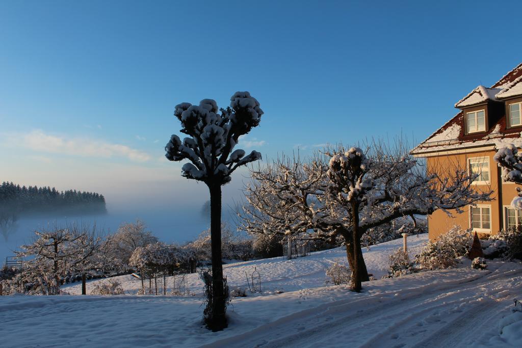 Gaestehaus Schloss Kronburg Exteriör bild